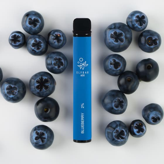 ELFBAR 600 – Blueberry (2)