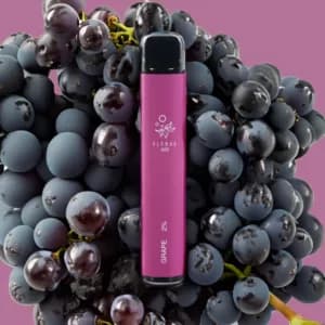 ELFBAR 600 – Grape (2)