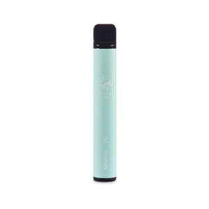 ELFBAR 600 – Menthol, Frontansicht