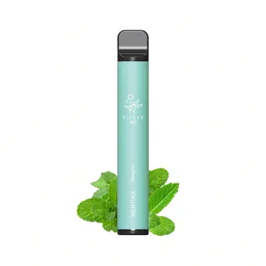 ELFBAR 600 – Menthol mit Minzblättern
