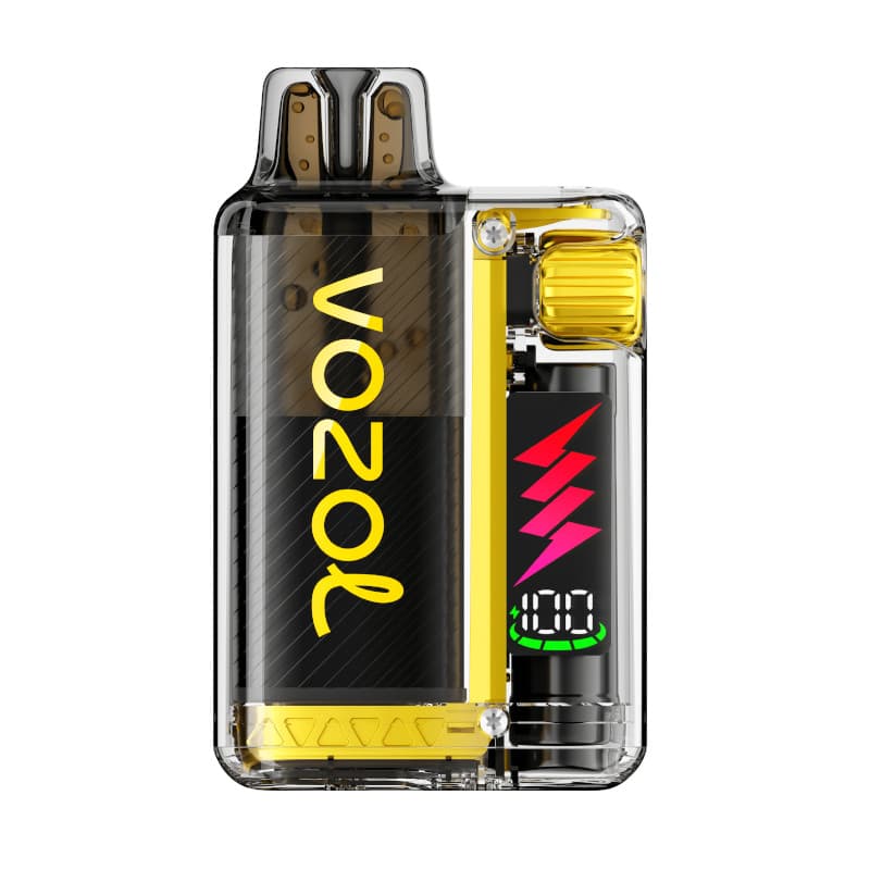 VOZOL Vista Plug Starter Kit – Mango Ice